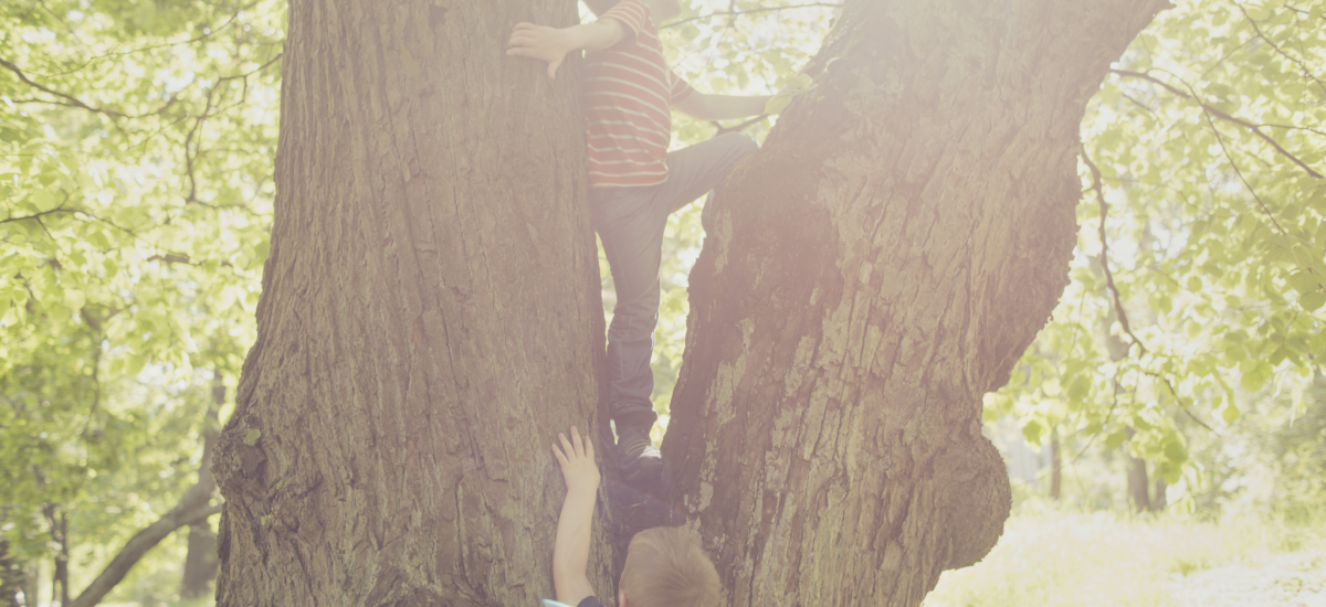 Kaksi pientä poikaa kiipeävät puuhun.
