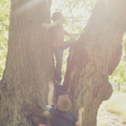 Kaksi pientä poikaa kiipeävät puuhun.