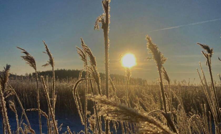 Itsetuhoisuuden kohtaaminen järjestötyössä -seminaari 13.4.2026