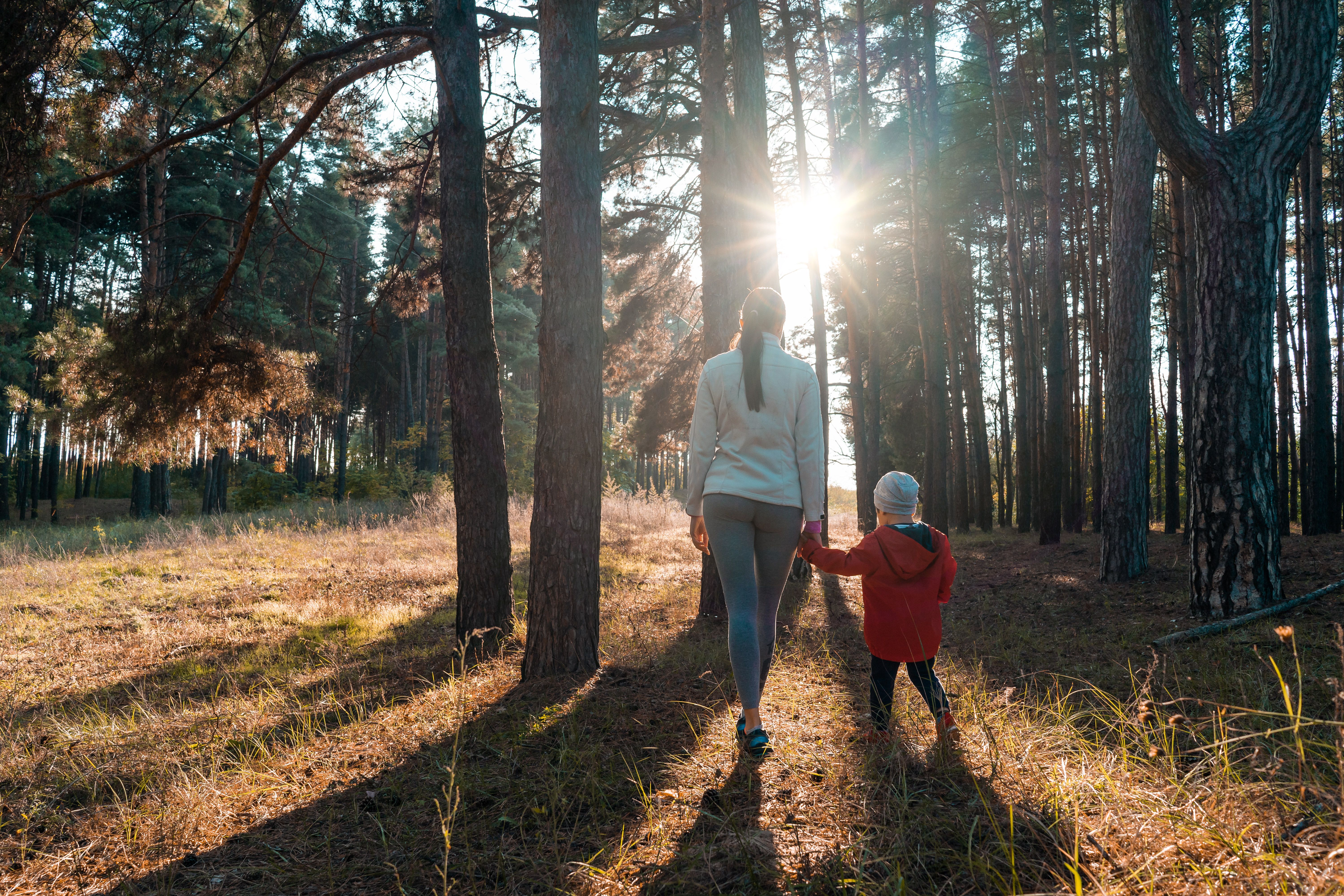 Webinaari 28.9.2026: Talousvaikeuksista toivon polulle – näkökulmia perheiden tukemiseen 